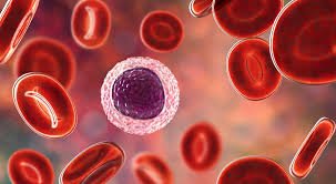 Early Signs of Blood Cancer